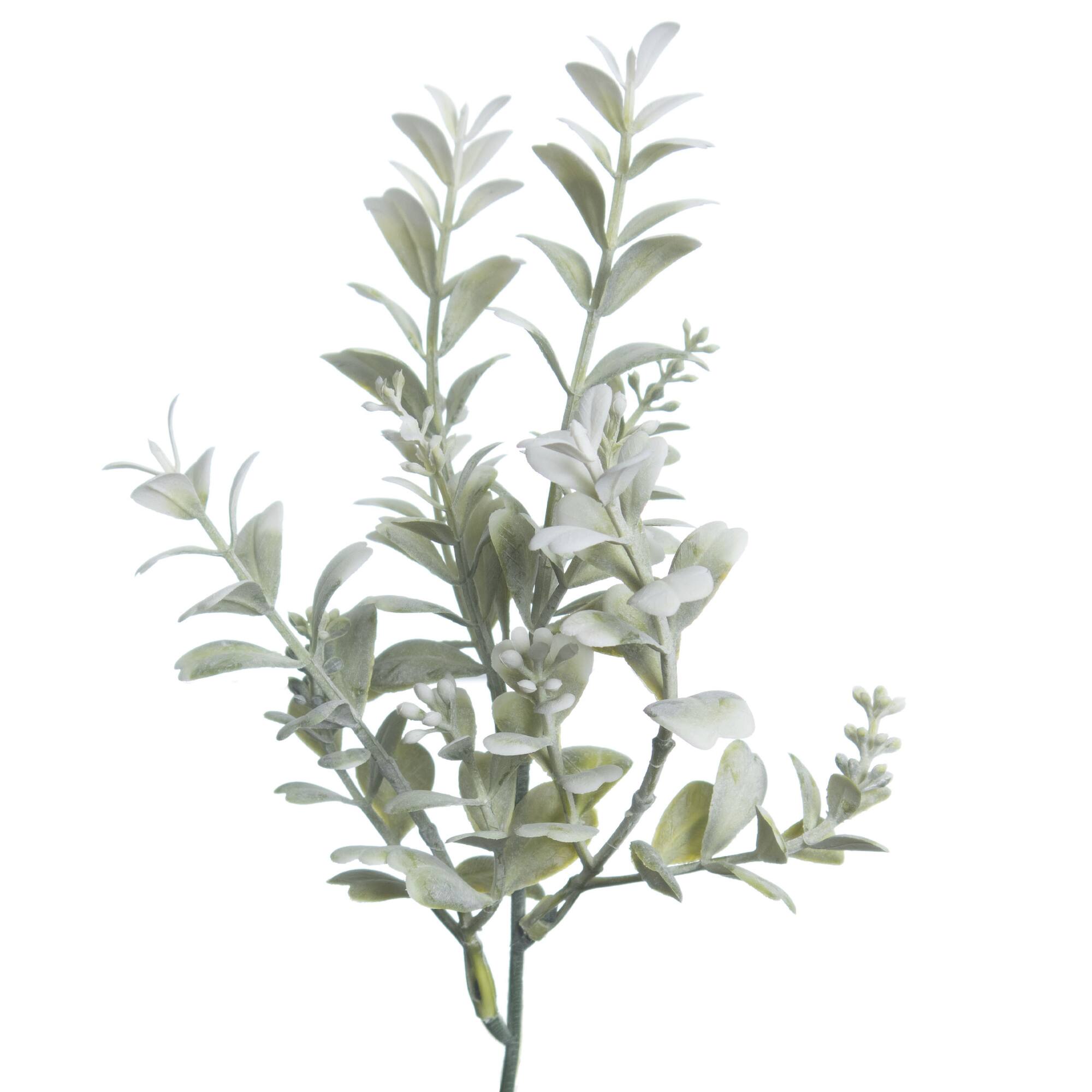 12" Green & Cream Boxwood Pick by Ashland®